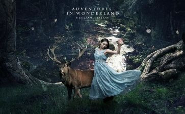 梦游仙境读后感通用5篇