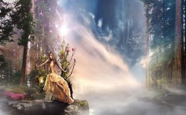 梦游仙境读后感6篇