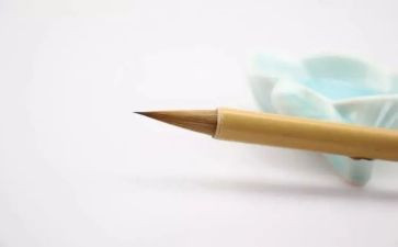 中班语言捉迷藏教案5篇