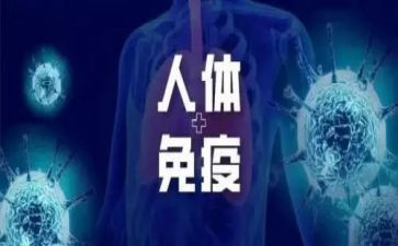 2024免疫规划工作计划8篇