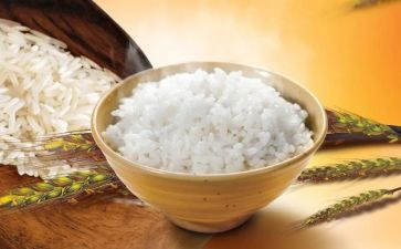 米饭的教案5篇