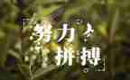 读名人传心得体会1000字8篇
