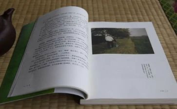 目送心得体会600推荐5篇