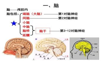 脑外科心得优质8篇