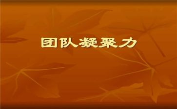 凝聚的爱作文参考6篇