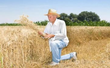 农夫和羊的读后感8篇