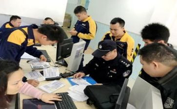 排查工作报告5篇