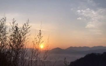 盼新年作文600字推荐5篇