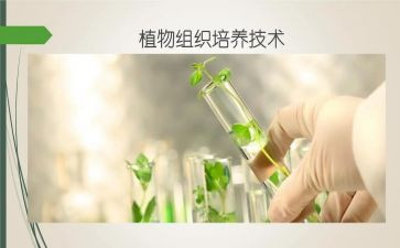 能力培养教案6篇