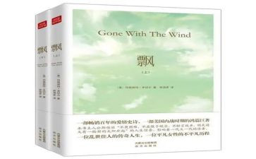 《飘》心得体会两千字8篇