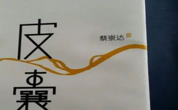 《皮囊》读后感模板7篇