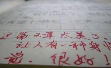 差评语作文6篇