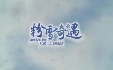 《木偶奇遇记》心得体会8篇