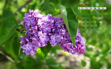 七月教师工作总结5篇
