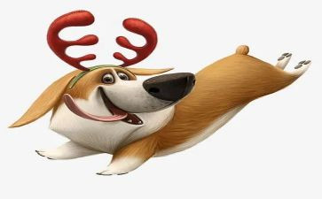犬训练心得体会模板5篇