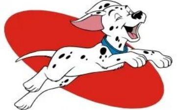 犬训练心得体会6篇