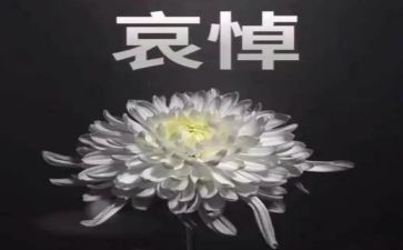 四月四日全国哀悼日心得体会5篇