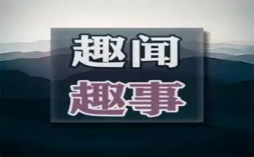 中秋趣事作文600字作文5篇