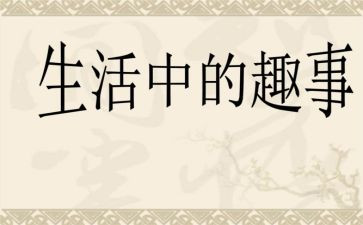 小学四年级双11趣事作文8篇
