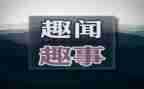 中秋趣事作文600字作文5篇