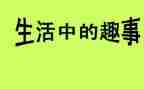 元旦趣事的作文参考7篇