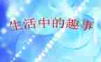 春节趣事600初中作文8篇