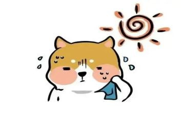 热爱作文400字8篇