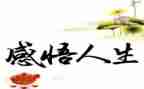 人生由我心得体会8篇