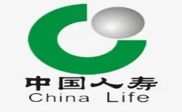 人寿工作总结6篇