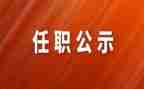 任职发言稿范文5篇