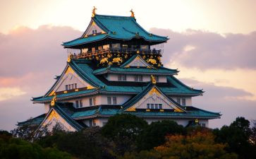日本留学申请书7篇