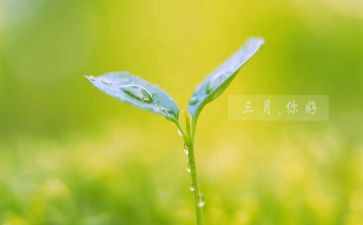 三月雷锋心得体会6篇