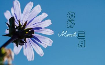 教师三月总结6篇
