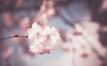 三月雷锋月活动心得体会8篇