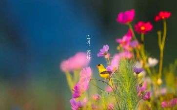三月雷锋日演讲稿8篇