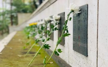 《扫墓》的作文推荐8篇