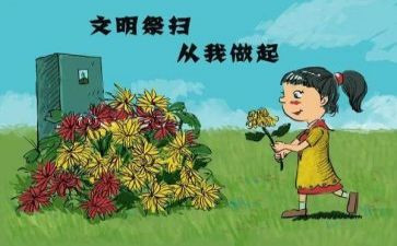 扫墓作文800字作文优秀7篇