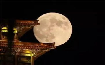 中秋赏月话中秋作文模板8篇