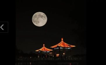 中秋节赏月心得体会5篇