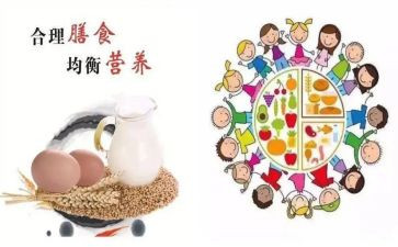 膳食科工作计划范文6篇