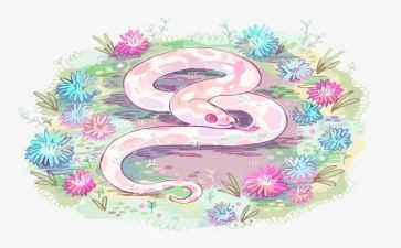 猫和蛇的心得体会推荐8篇