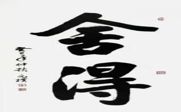 读舍得读后感5篇