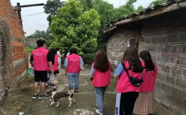社会心得体会800推荐8篇
