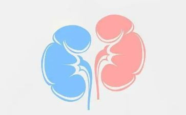 肾内科主任工作总结6篇