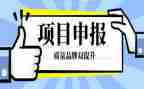 优秀教师申报工作报告7篇