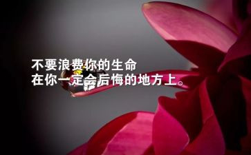生存挑战心得体会7篇