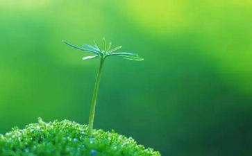 珍爱生命的心得体会参考8篇