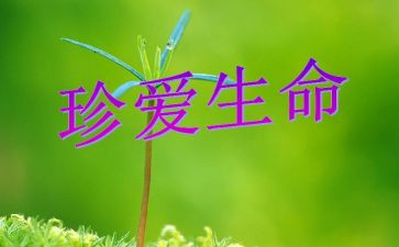 生命在运动演讲稿推荐8篇