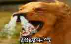她生气了作文500字作文优秀6篇