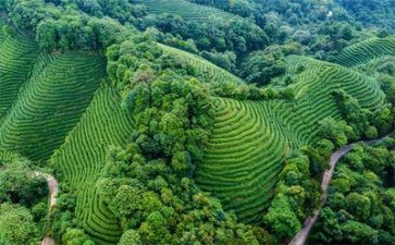 生态话题作文5篇